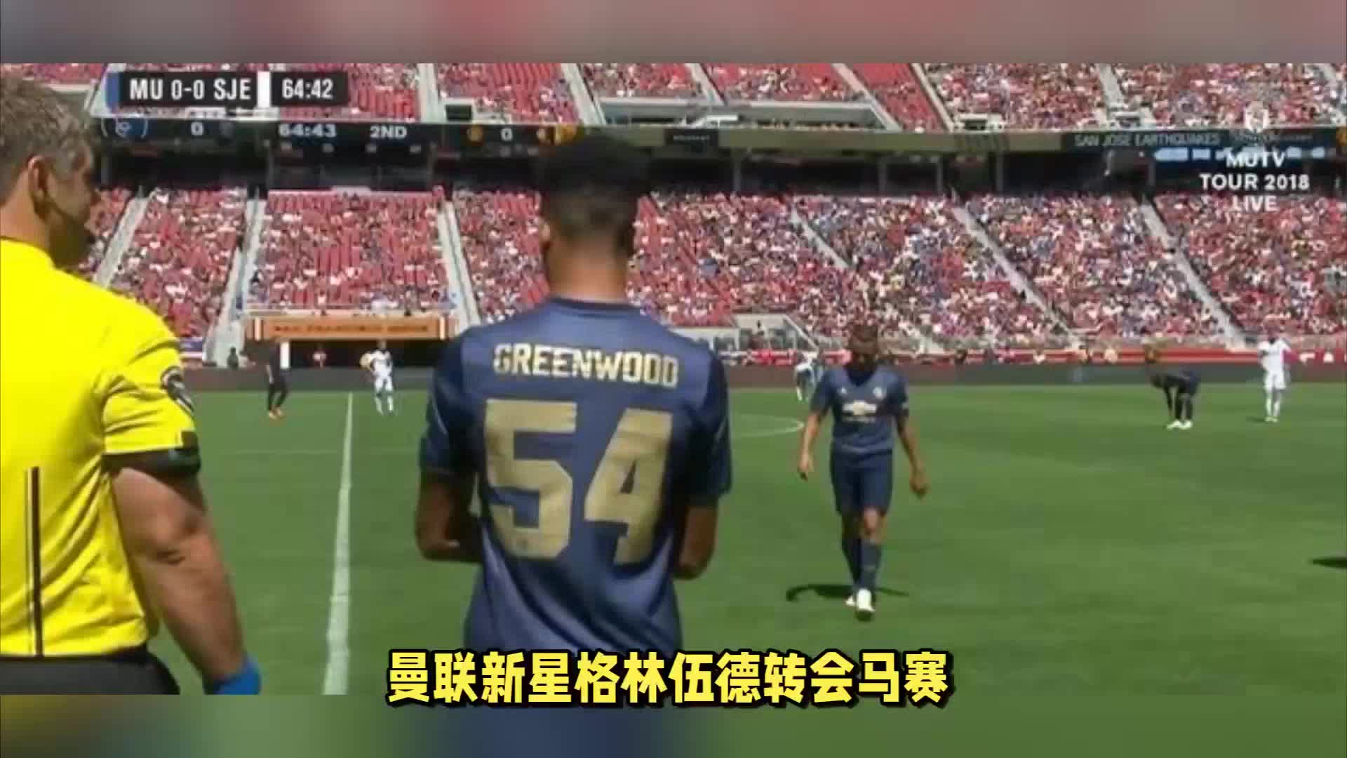 化的游客香